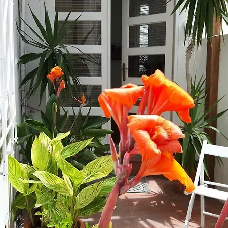 Casa Bibi * Valle Gran Rey