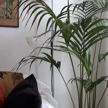 Casa Bibi アパート *